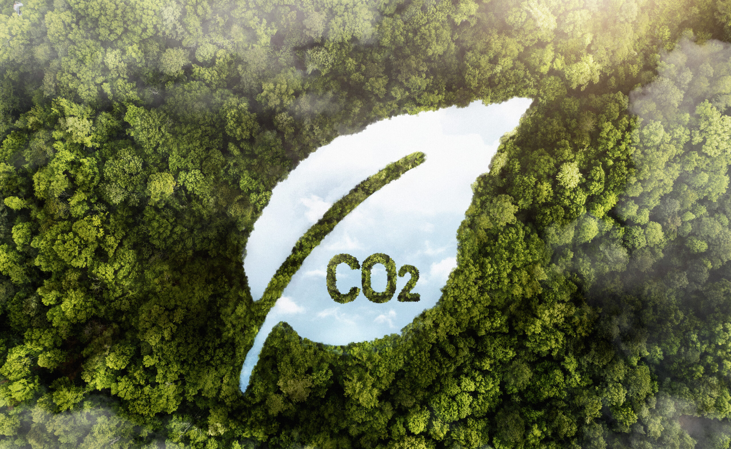 Yeşil Taşımacılık: Lojistikte Karbon Azaltmanın Yolları